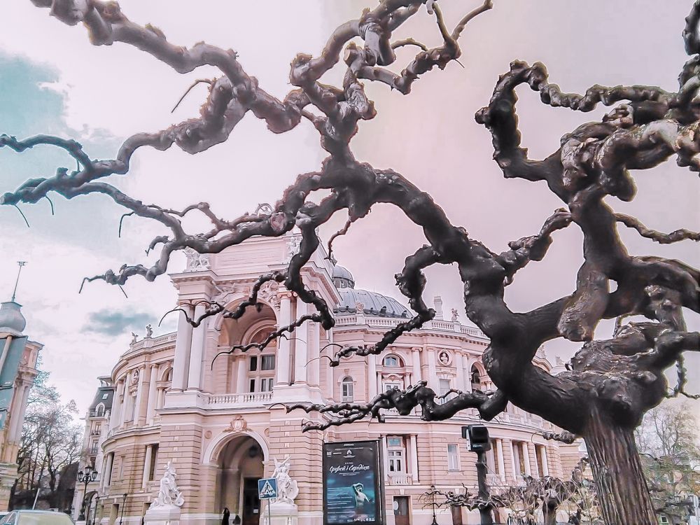 Photograph by Людмила Кабанина