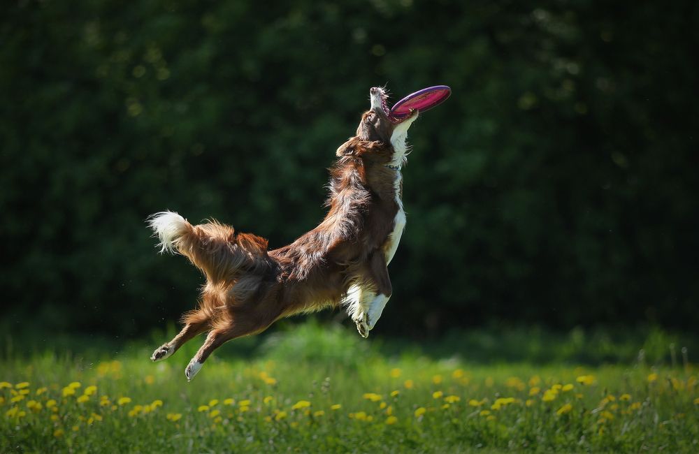 Photograph by Жаренко Евгения