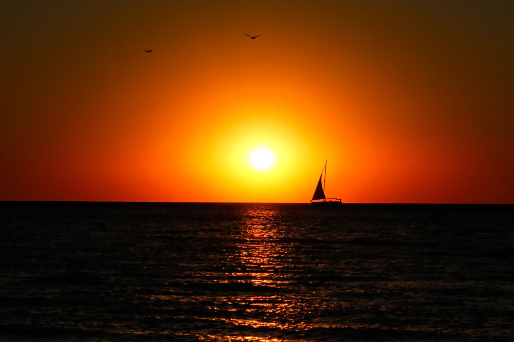 Photograph by Анастасия Пищулова