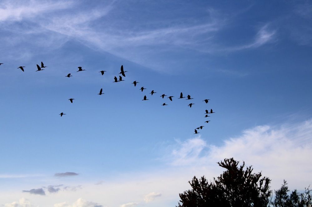 Photograph by Манца Нимгирова