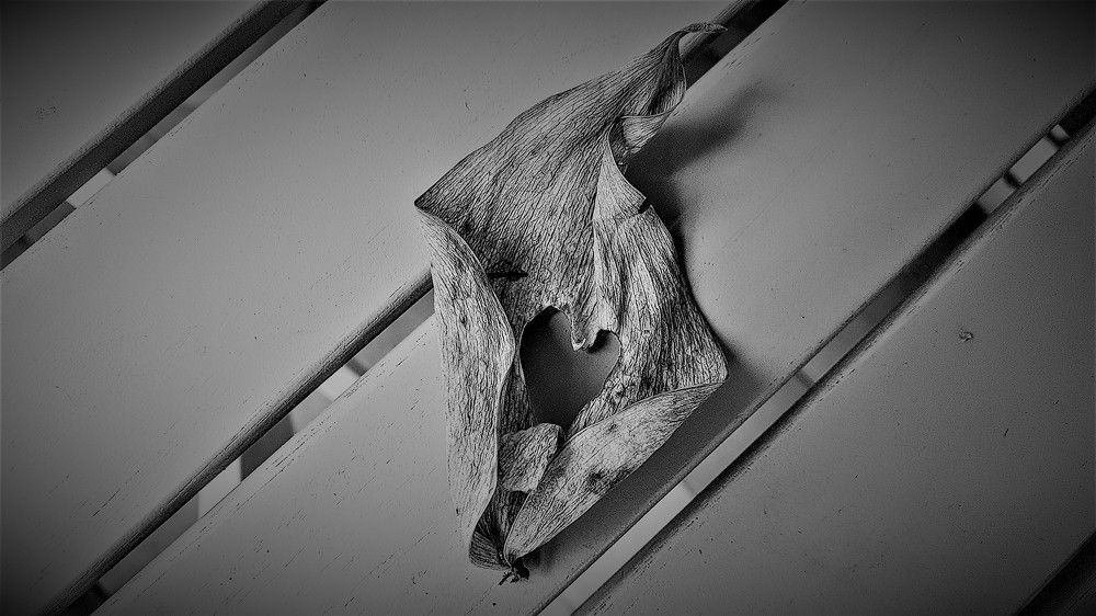 Photograph by Marie G