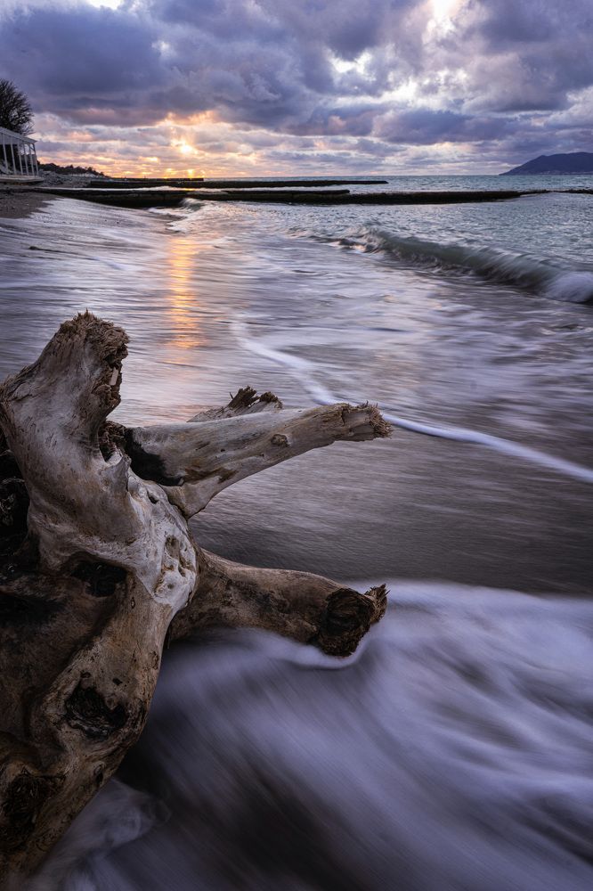 Photograph by Ксения Часова