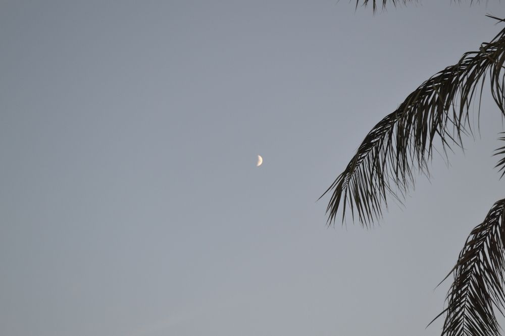 Photograph by Sakhria Mbarki