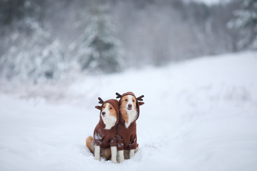 Photograph by Жаренко Евгения