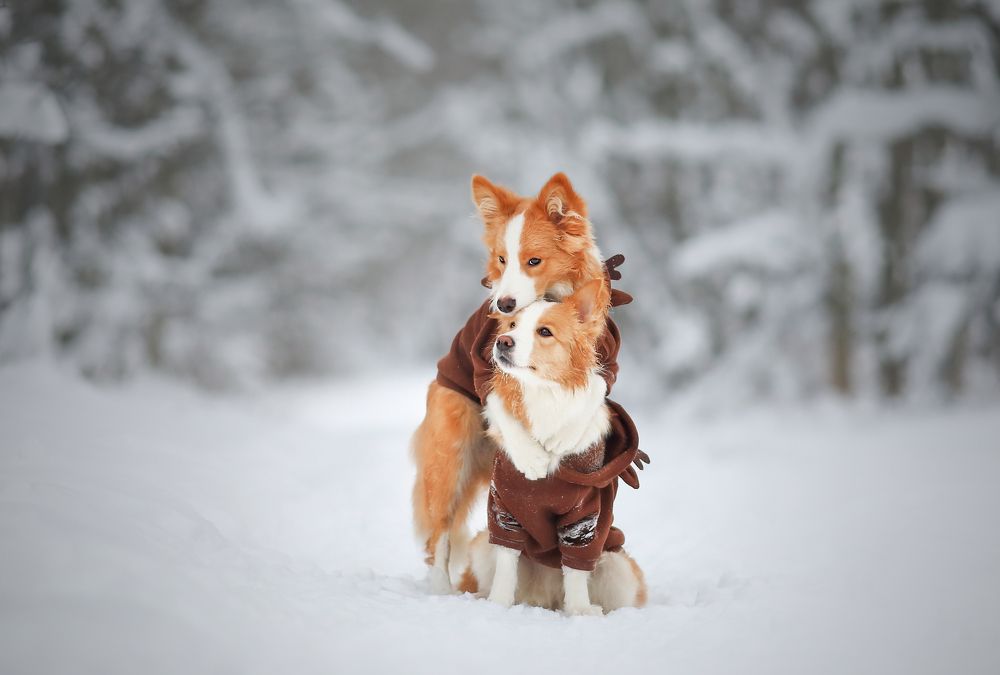 Photograph by Жаренко Евгения