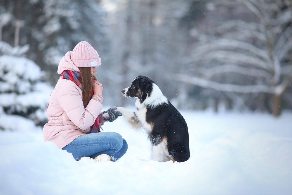 Photograph by Жаренко Евгения