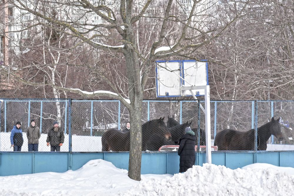 Photograph by Коротков Алексей