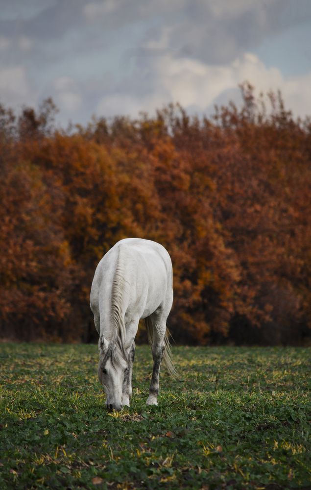 Фотография автора Кристина Данилюк