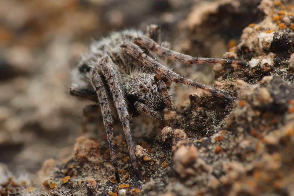 Photograph by Torres