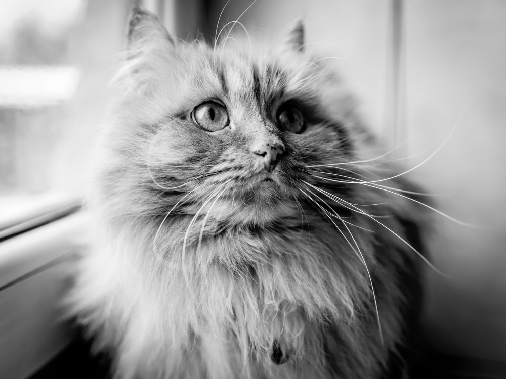 Photograph by Бедряк Юлия