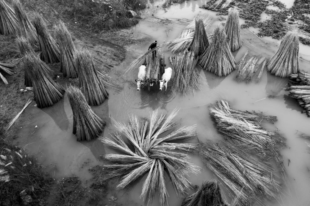Photograph by Bishnu Goenka