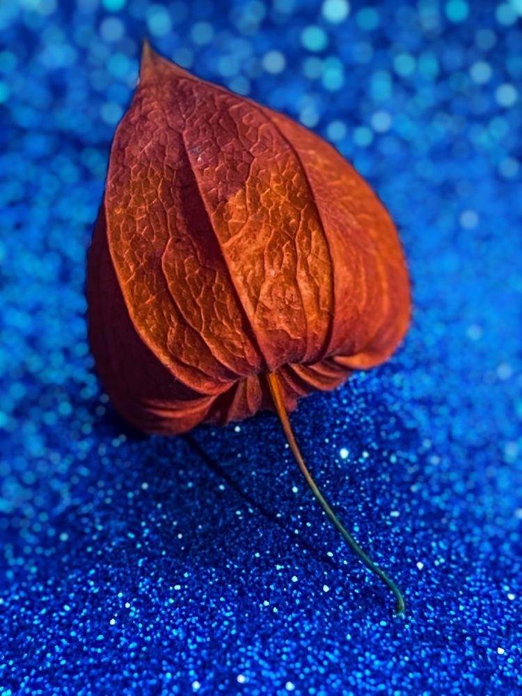 Photograph by Ольга Скиба