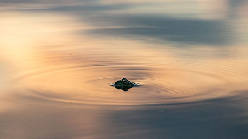 Photograph by Сергей Фадин