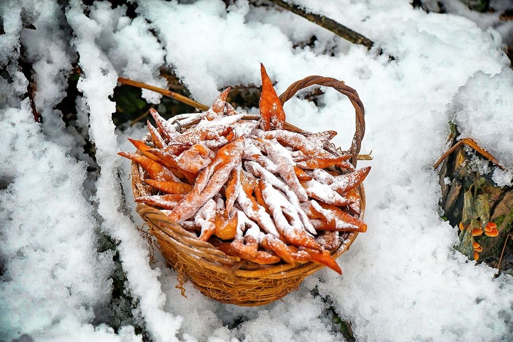 Photograph by Наталья Глинская