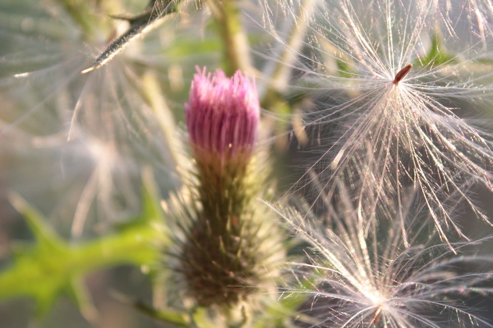 Фотография автора Татьяна Самойлова