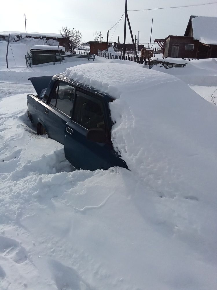 Photo #7213183