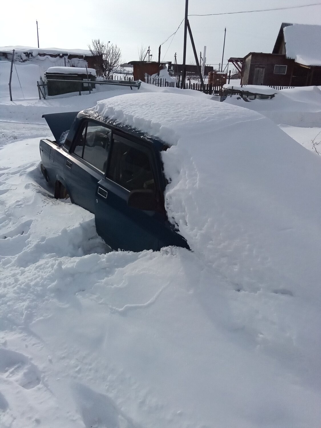Photo #7213183