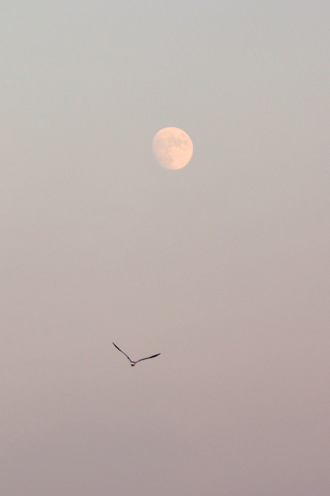 Photograph by Алан Гасымов