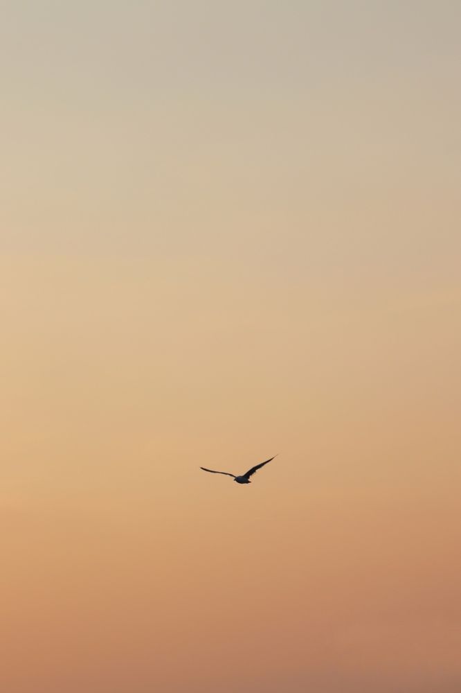 Photograph by Алан Гасымов