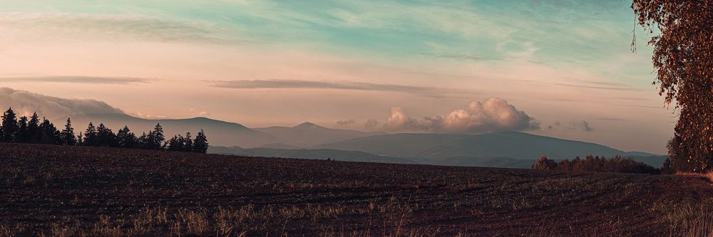 Photograph by Jan Musil