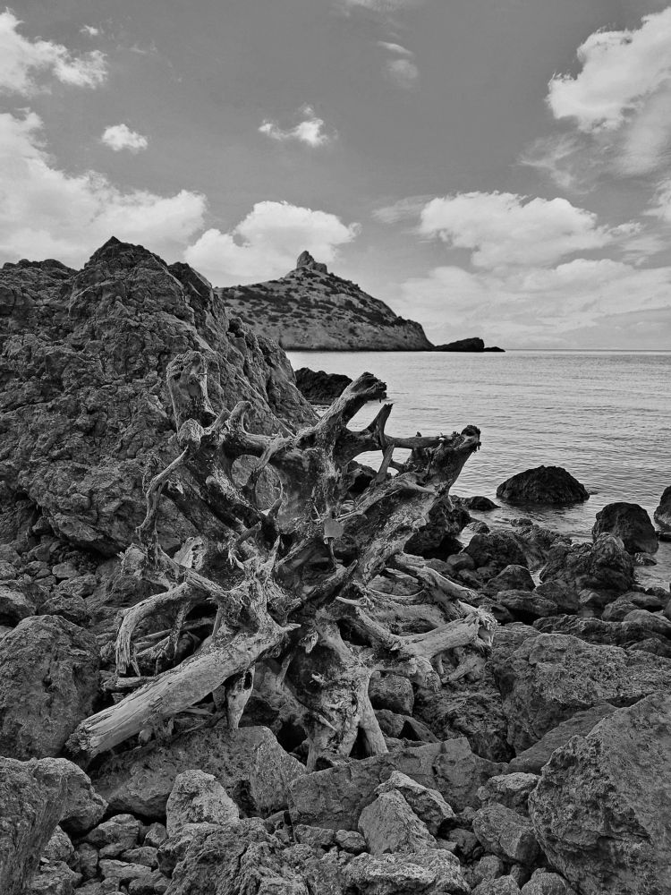 Photograph by Сергей Жигульский