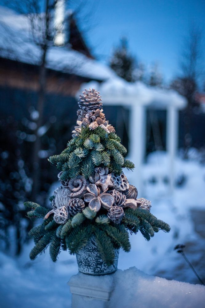 Photograph by Алан Гасымов