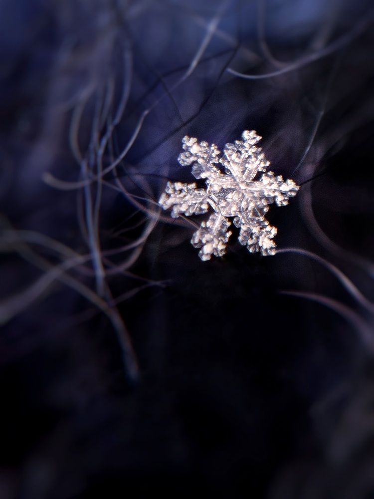 Snowflake