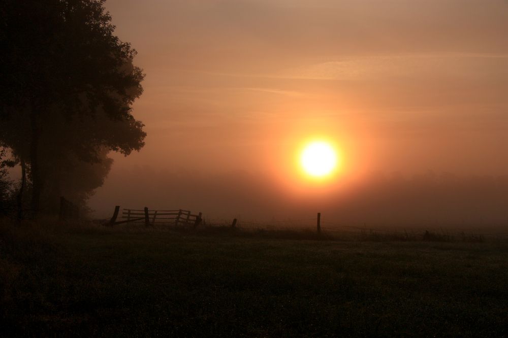 Photograph by Irina Karpov