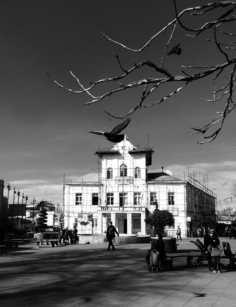 Photograph by hanie rashidi