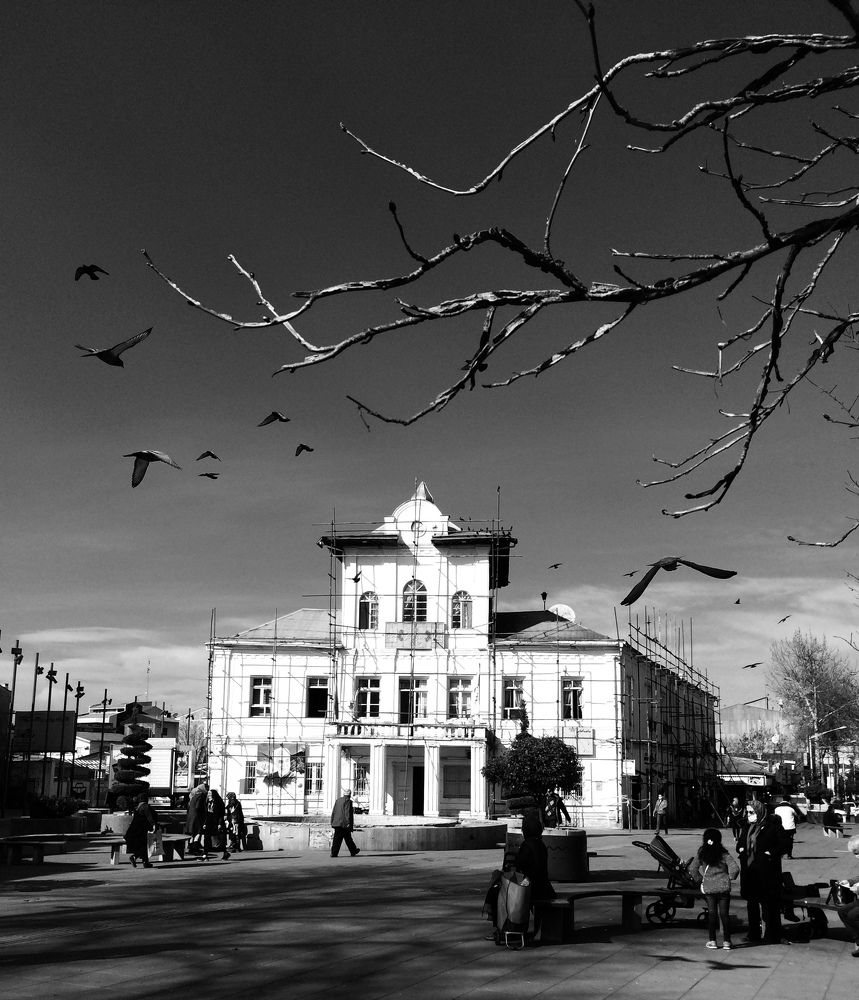 Photograph by hanie rashidi