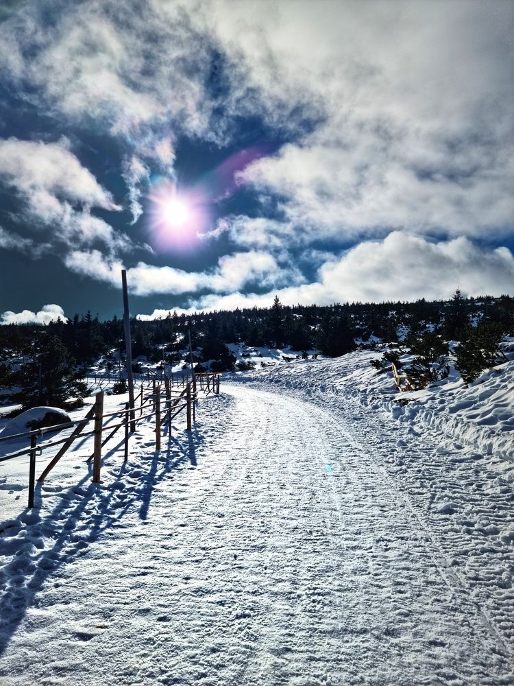 Photograph by Вячеслав