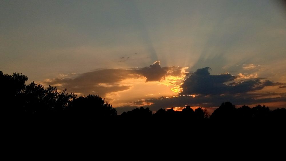 Photograph by Глеб Кузьминых