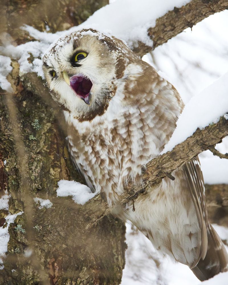 Photograph by Korovkin Anatoliy