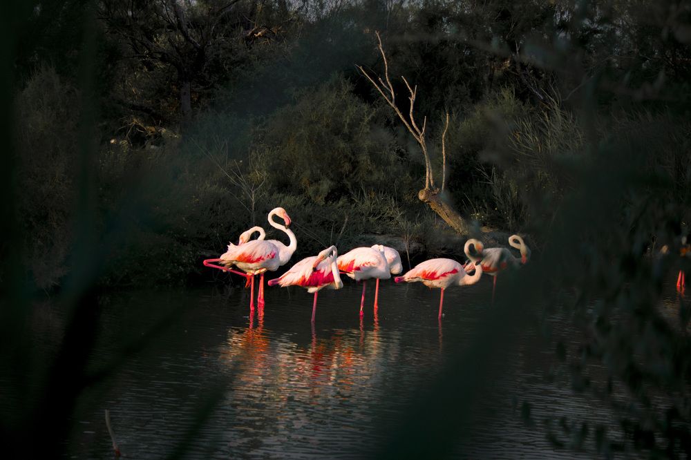 Photograph by Sentao-Toni Wng