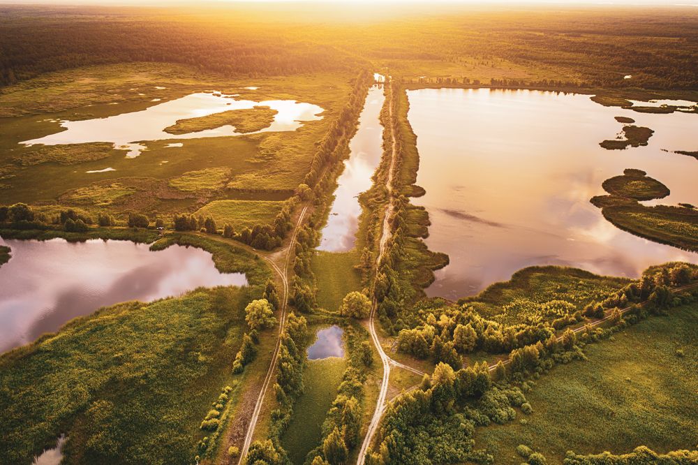 Photograph by Roksana Bashyrova