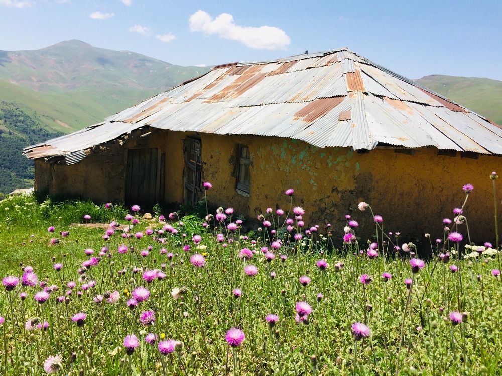 Photograph by hanie rashidi