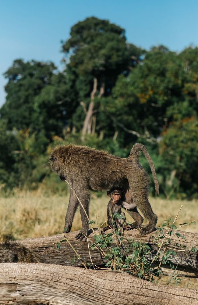 Photograph by Uyriy Serebrov