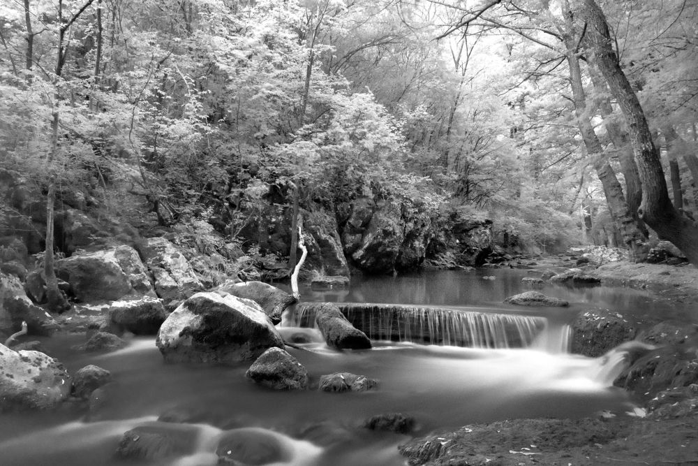 Photograph by Dragan Cerovic