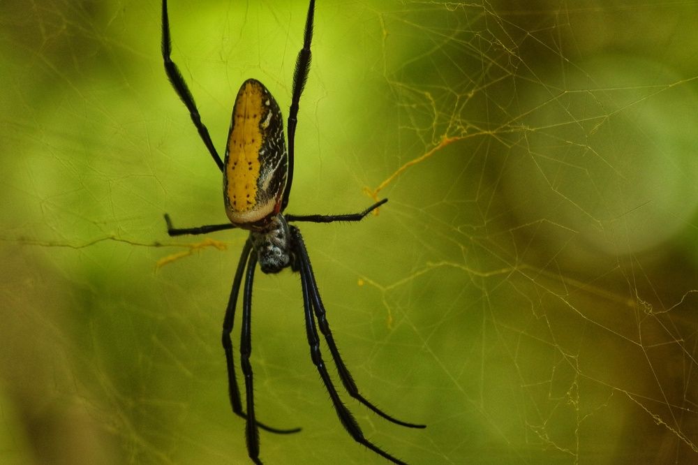 Фотография автора Cláudia Maria Fialho Garcia