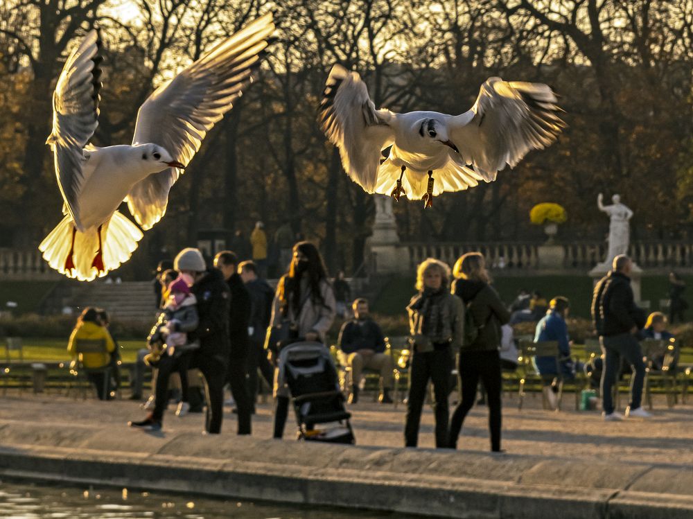 Фотография автора robert bared