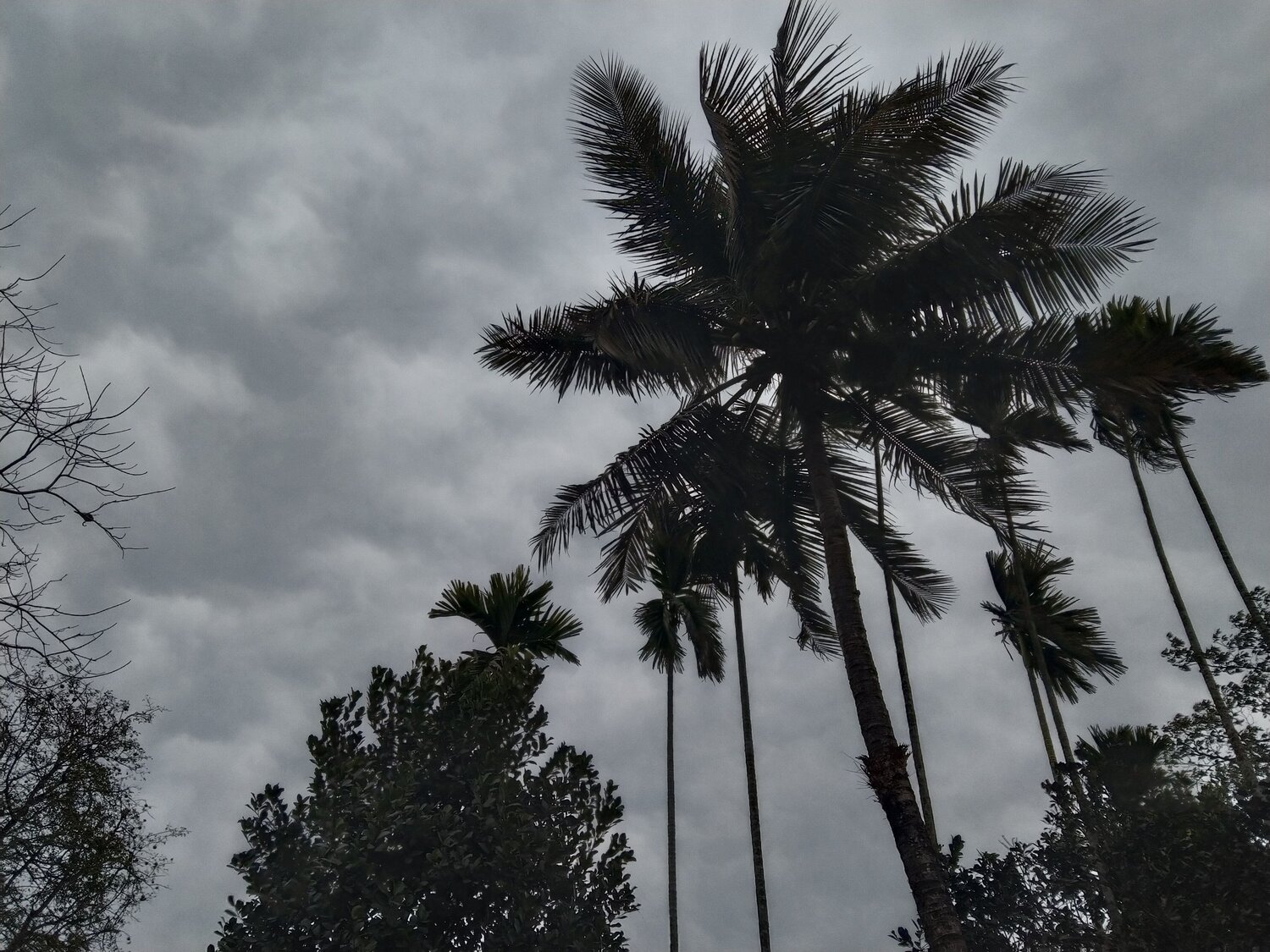 Photo #7213806