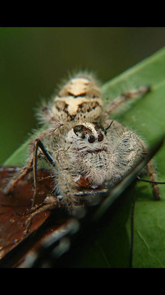 Photograph by Sugeng mamet