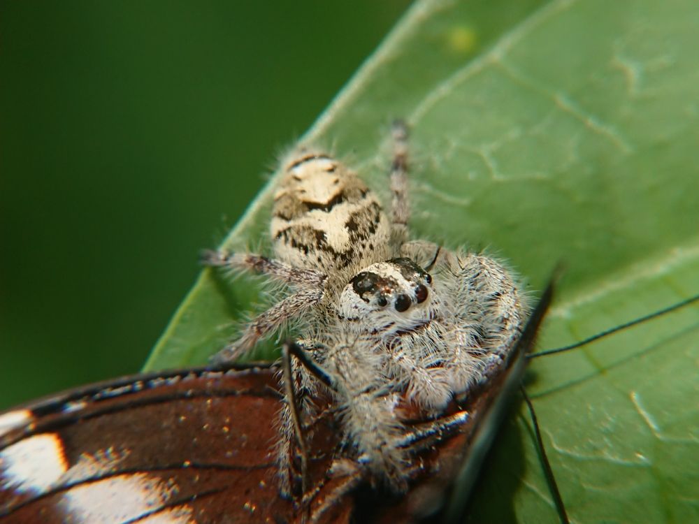 Photograph by Sugeng mamet