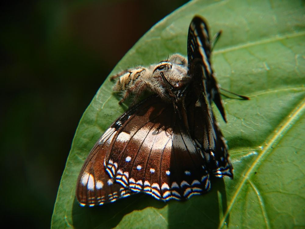 Photograph by Sugeng mamet