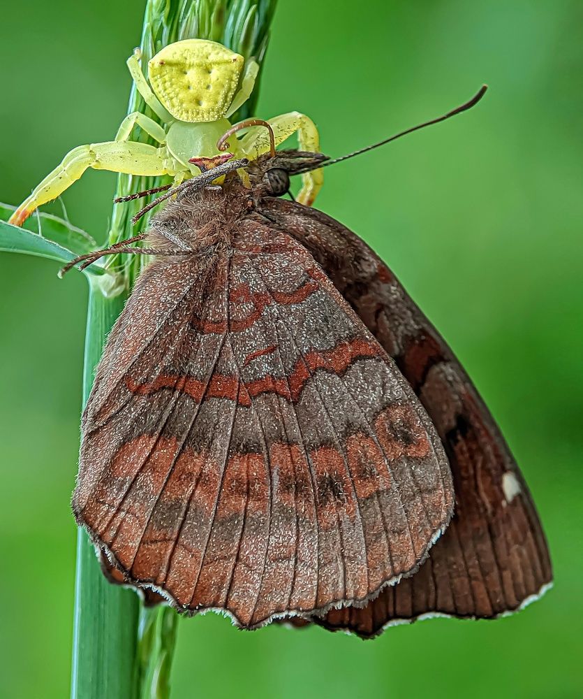 Фотография автора ISLAM SK RIYAJUL