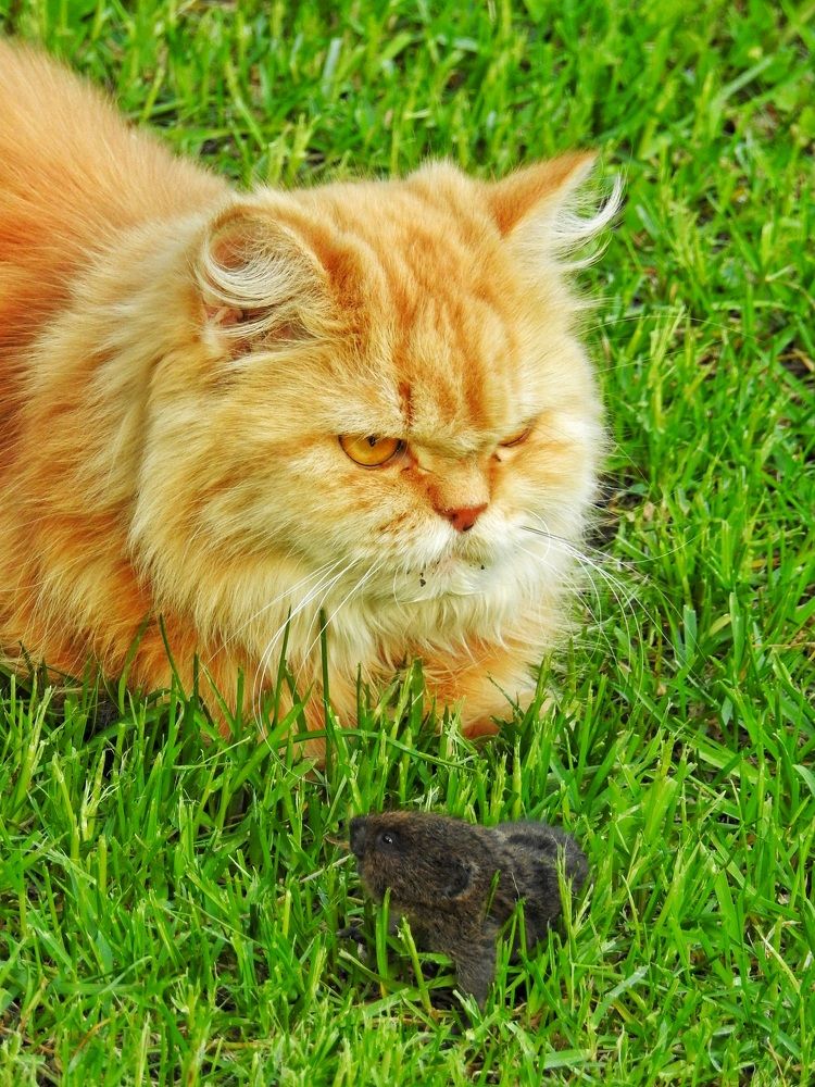 Photograph by Римма Большакова