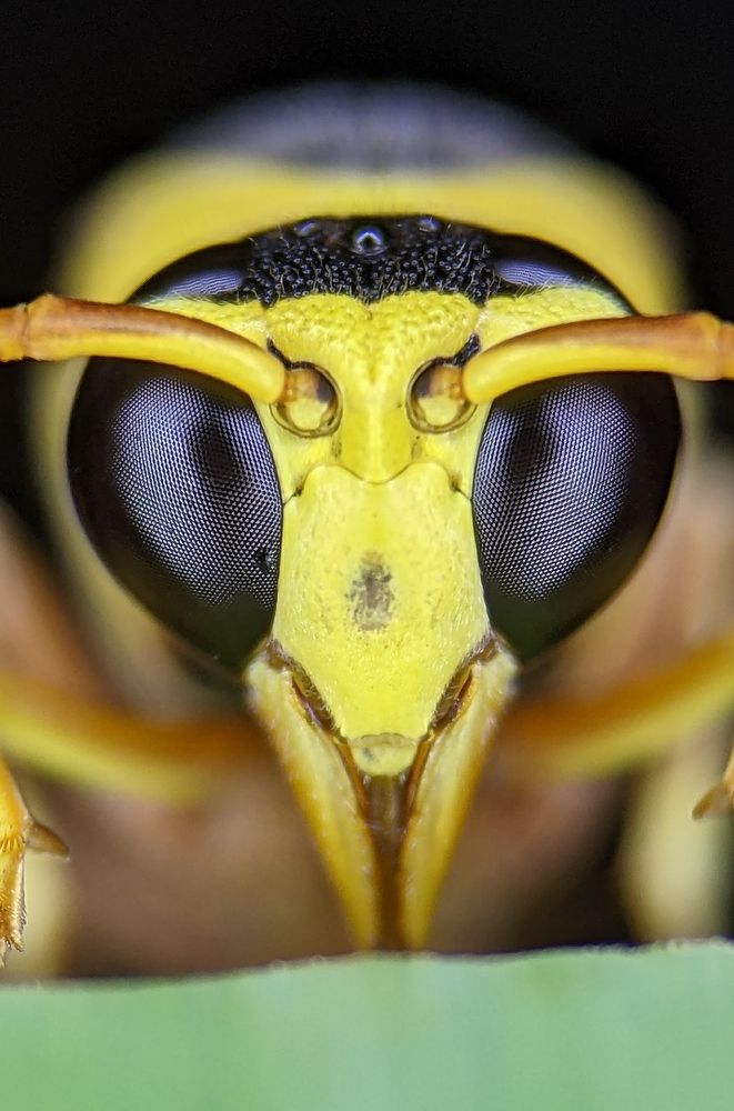 Photograph by Rhythm vora