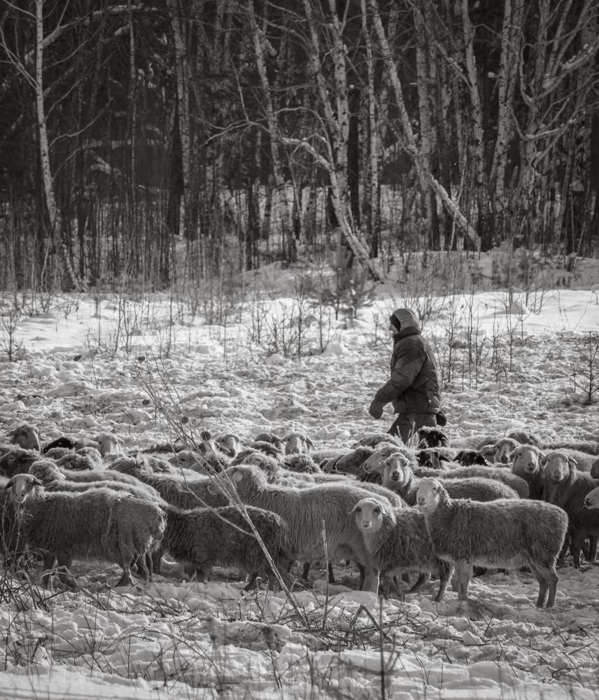 Photograph by Кузьмин Евгений