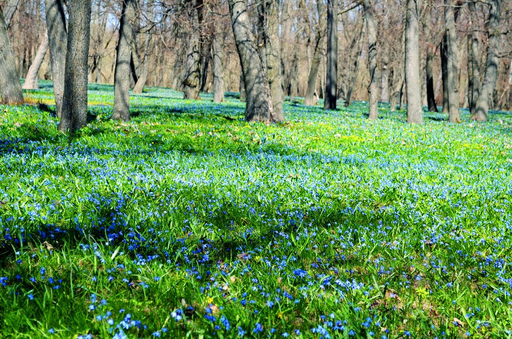 Photograph by Евгений Юдин