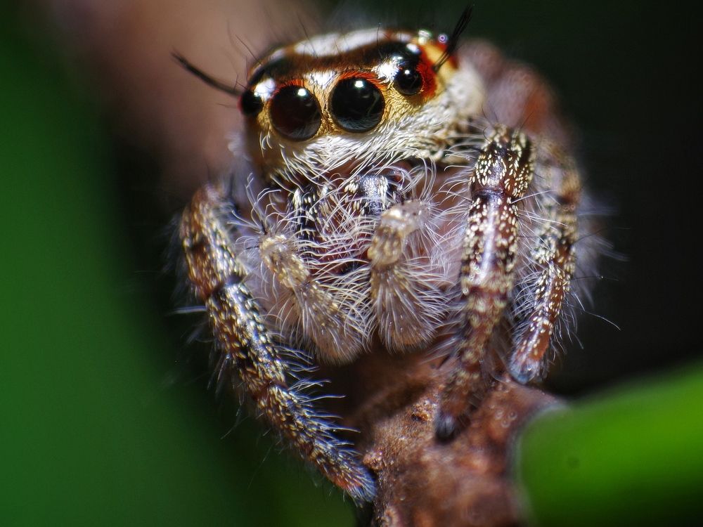 Photograph by Abdullah Nazeef